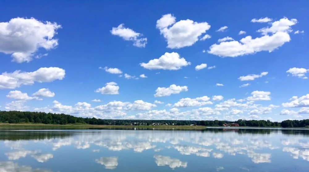 Restoration of the water body ecosystem