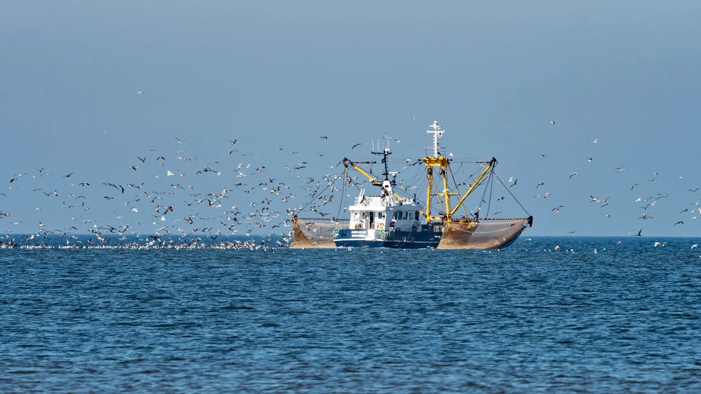 Commercial Fishing 